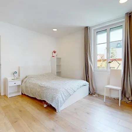 Cozy And Bright 2 Bedrooms Outdoor Courtyard Schiltigheim