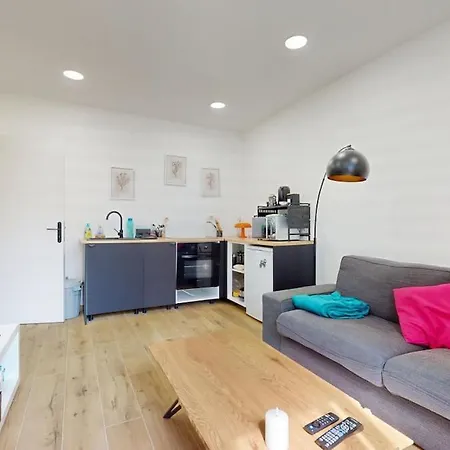 Cozy And Bright 2 Bedrooms Outdoor Courtyard Schiltigheim
